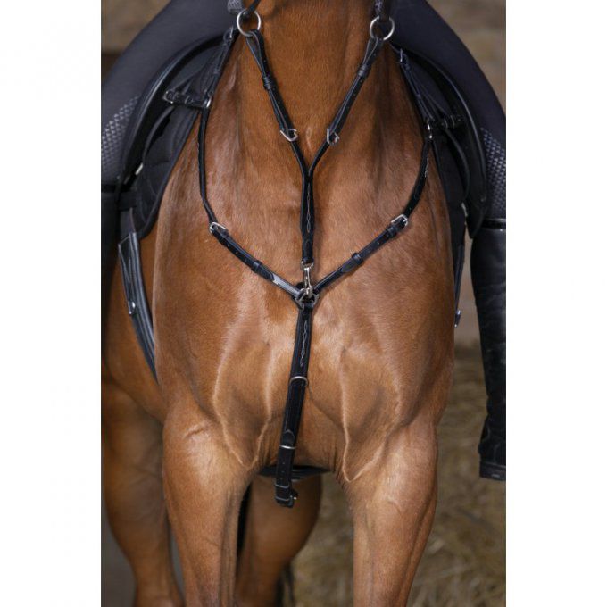 Collier de chasse Eric Thomas Hybrid