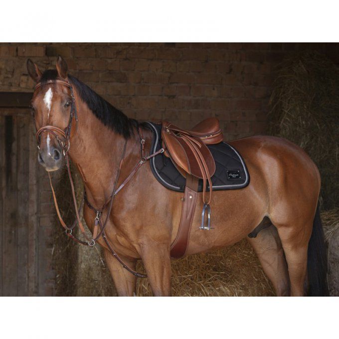 Collier de chasse Eric Thomas Hybrid