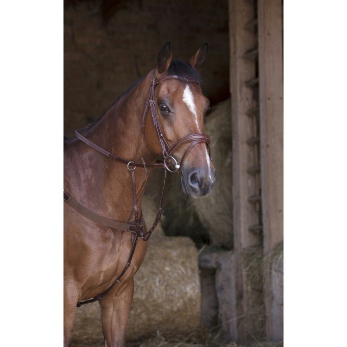Collier de chasse Norton Pro élastique