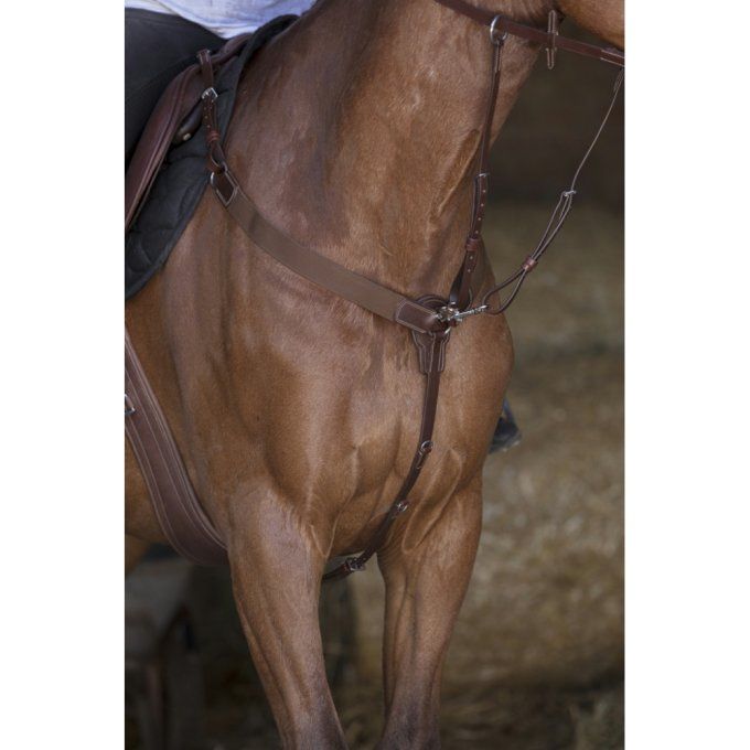 Collier de chasse Norton Pro élastique