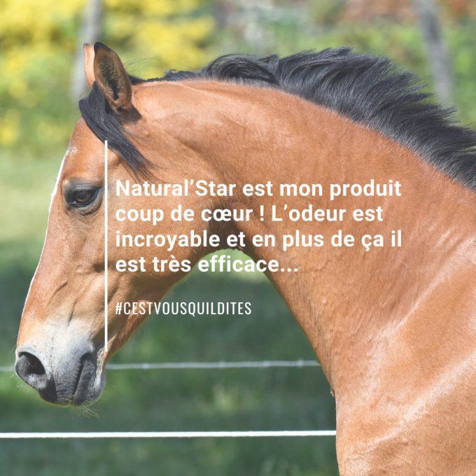 Natural’Star - Démélant