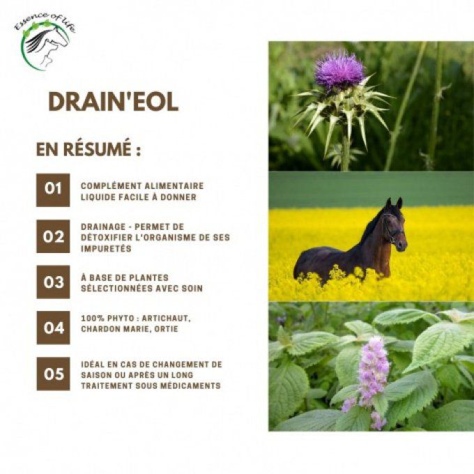 Drain'eol