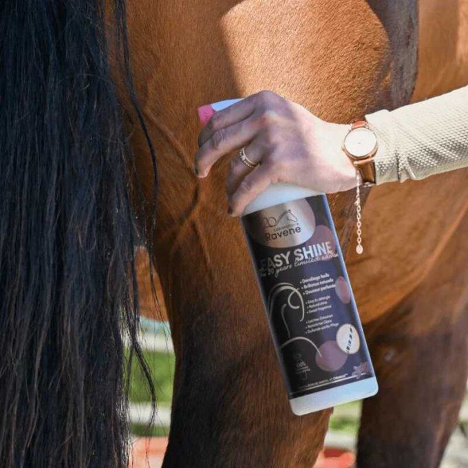Easy Shine RAVENE - Démêlant Lustrant Édition Limitée 20 ans 