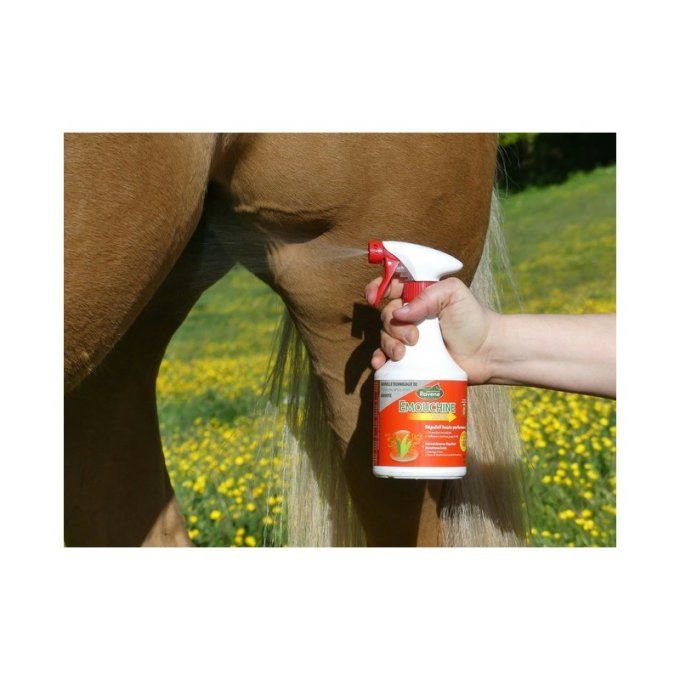 Emouchine TOTAL Ravene