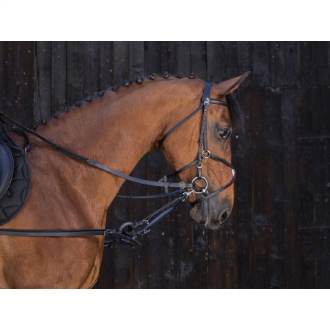 Enrênement caoutchouc Riding World