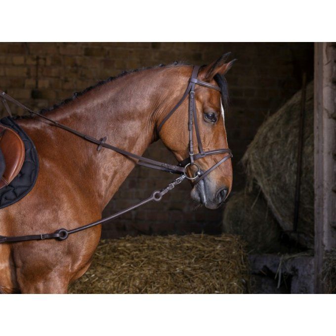 Enrênement Pirelli RIDING WORLD