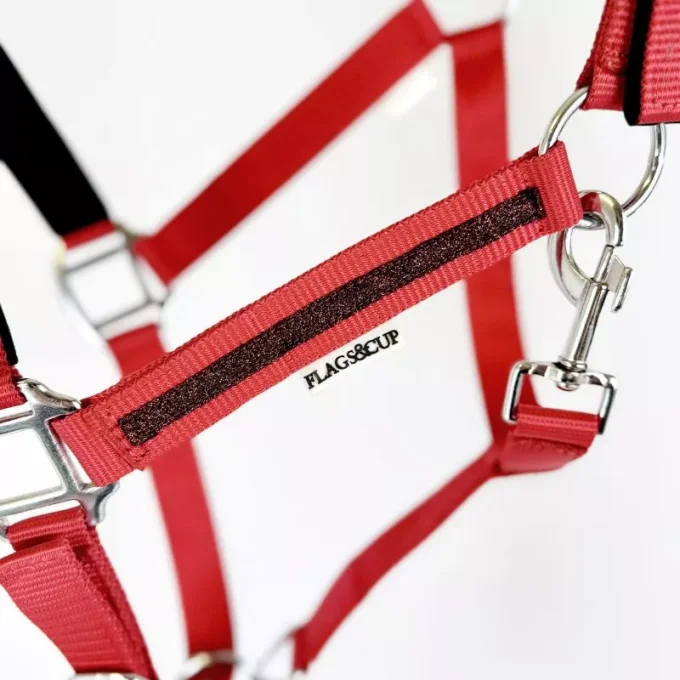 Set licol et longe Atamik Flags&Cup