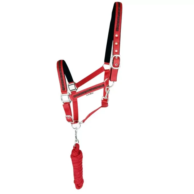 Set licol et longe Atamik Flags&Cup