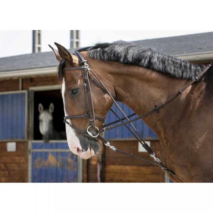 Gogue Riding World