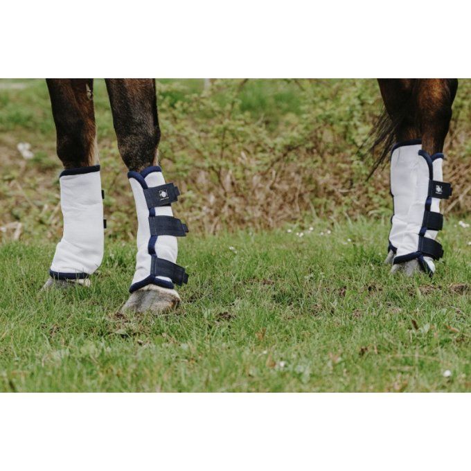 Guêtres anti-mouches RIDING WORLD x 4 