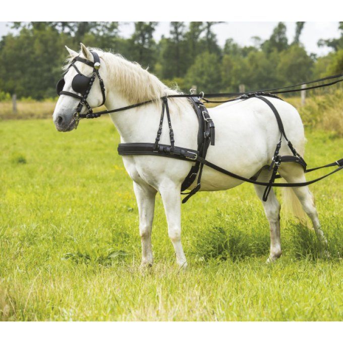 Harnais à bricole Norton synthétique