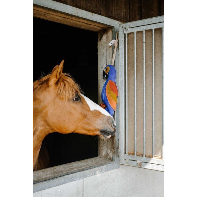 Jouet pour chevaux HIPPOTONIC - Perroquet 