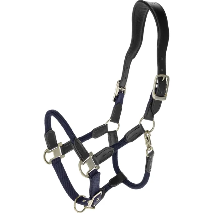 Licol Cordano Deluxe -  Covalliero SS26