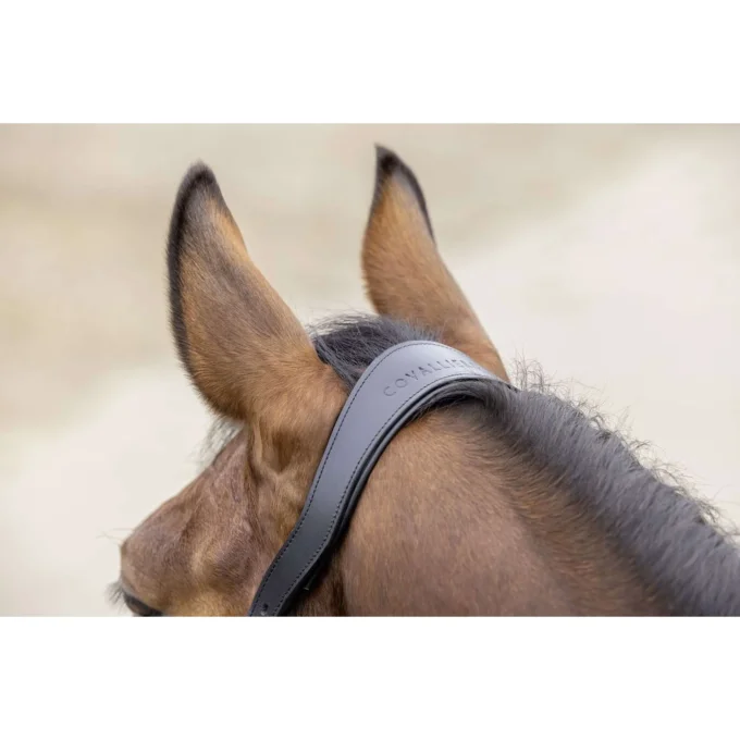 Licol Cordano Deluxe -  Covalliero SS26