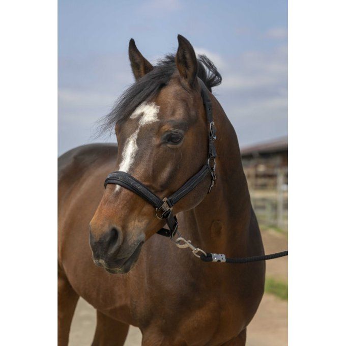 Licol EQUITHÈME - Strass