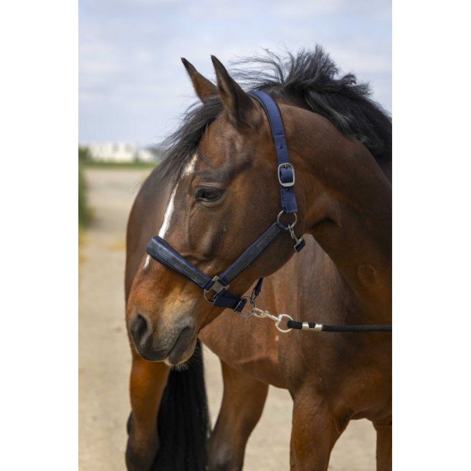 Licol EQUITHÈME - Strass