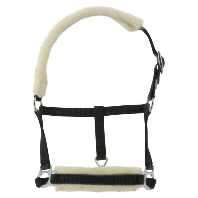 Licol Poulain Mouton Riding world