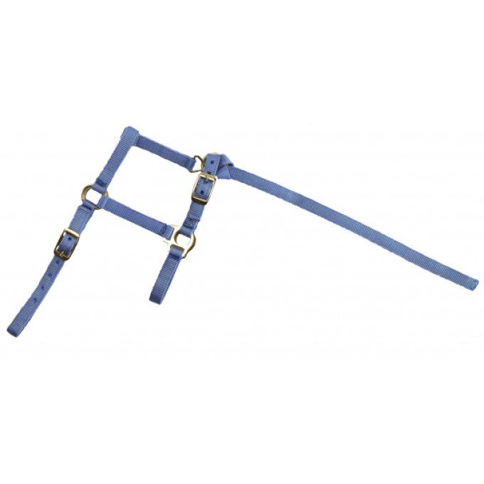 Licol + Longe Norton Foal