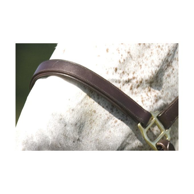 Licol Norton Club cuir double réglage