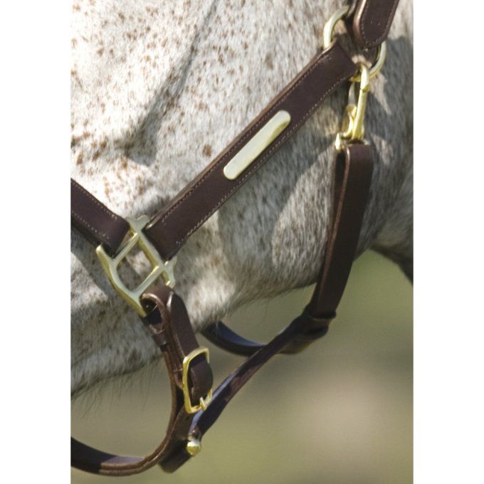 Licol Norton Club cuir double réglage