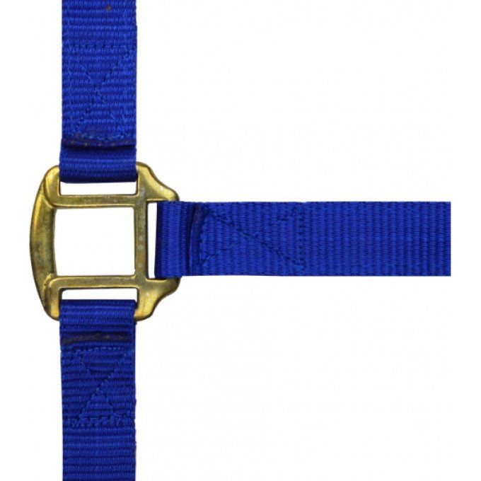   Licol Norton nylon doublé cuir 