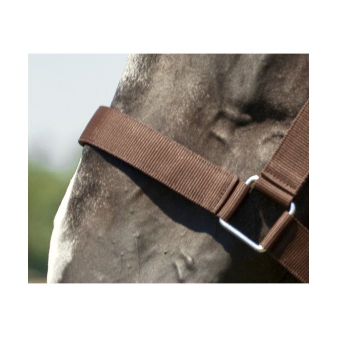 Licol nylon cheval de trait Norton