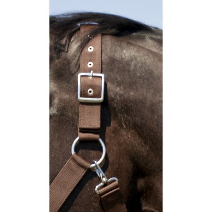 Licol nylon cheval de trait Norton