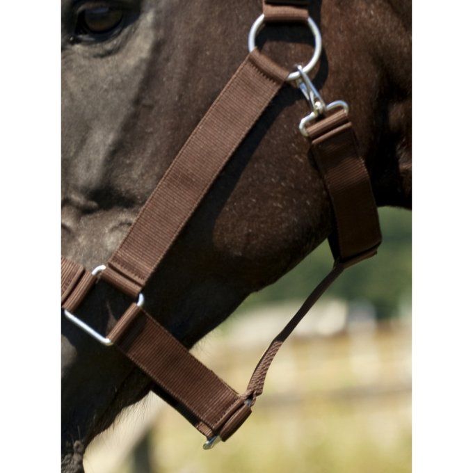 Licol nylon cheval de trait Norton