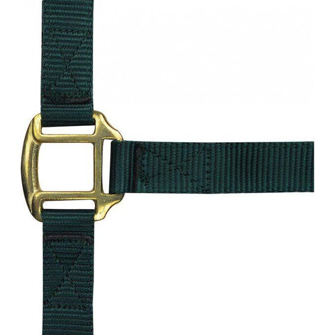   Licol Norton nylon doublé cuir 