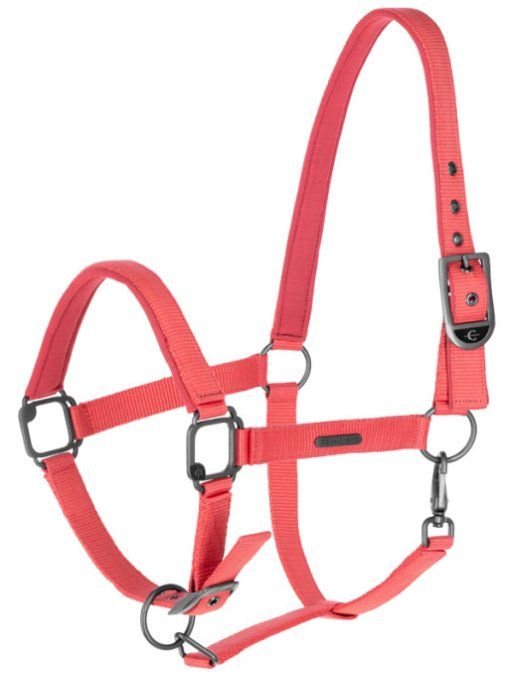 Licol SS25 Covalliero
