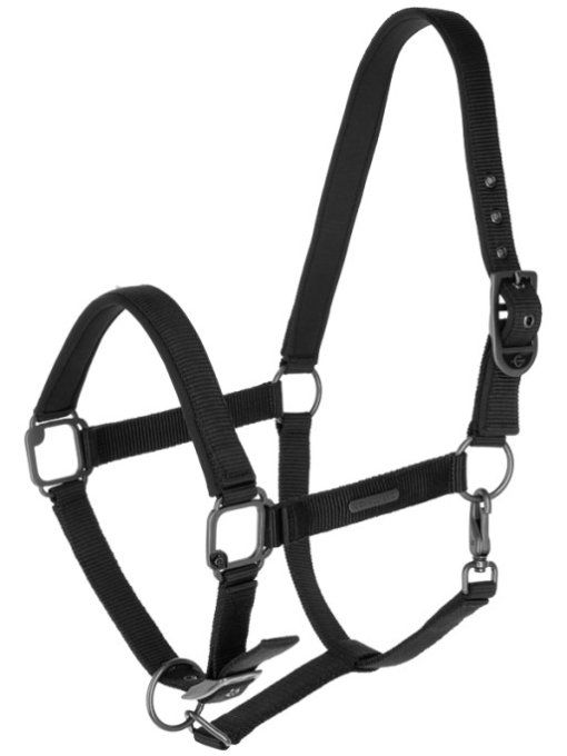 Licol SS25 Covalliero