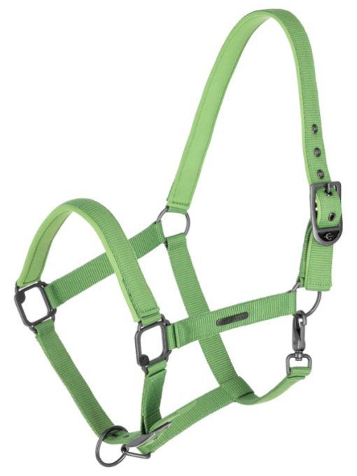 Licol SS25 Covalliero