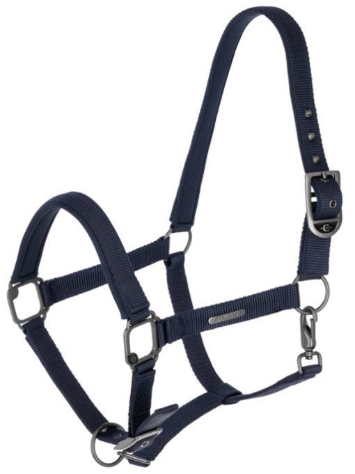 Licol SS25 Covalliero