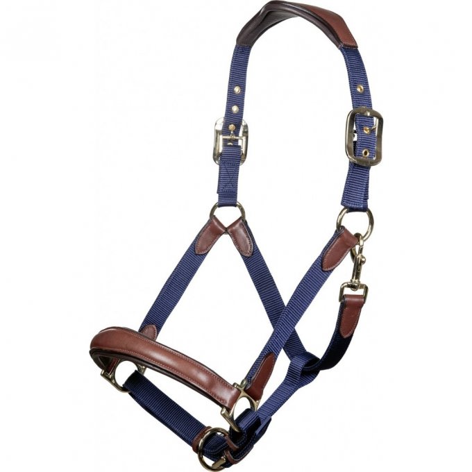 Licol Cuir et Nylon LUNA