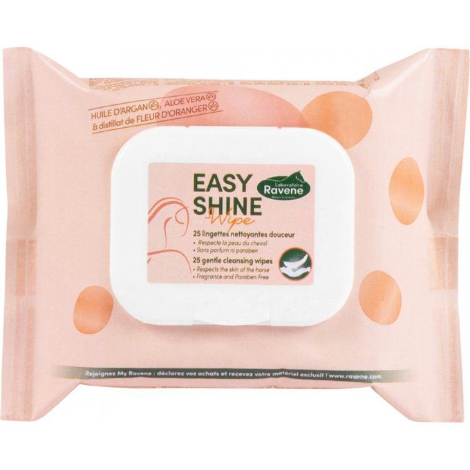 Lingettes nettoyantes Ravene Easy Shine