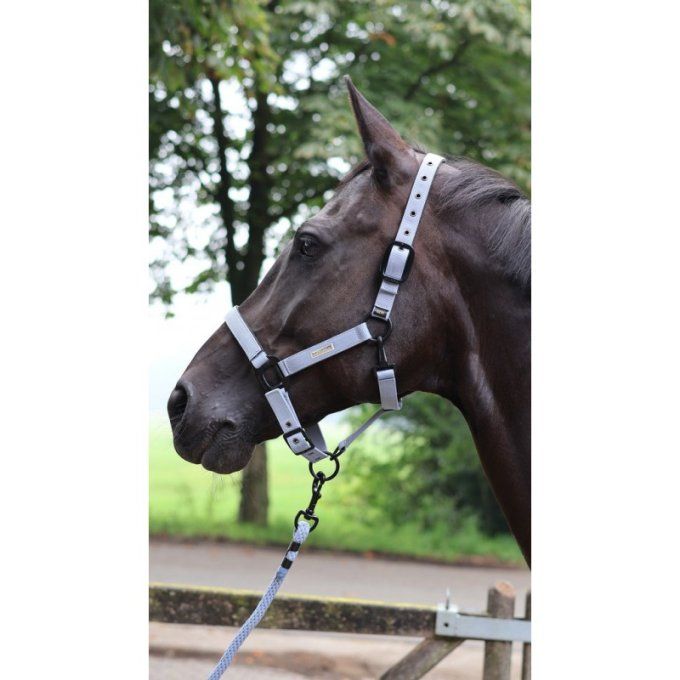 Longe d'attache LAMI-CELL - Midnight 