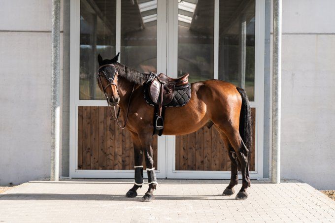 Tapis LOVE GEM Équitation Noir tissu pailleté porté sur un cheval – Fall Winter 2026