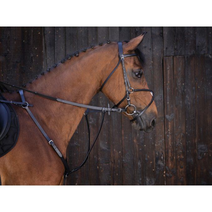Martingale à anneaux Riding World