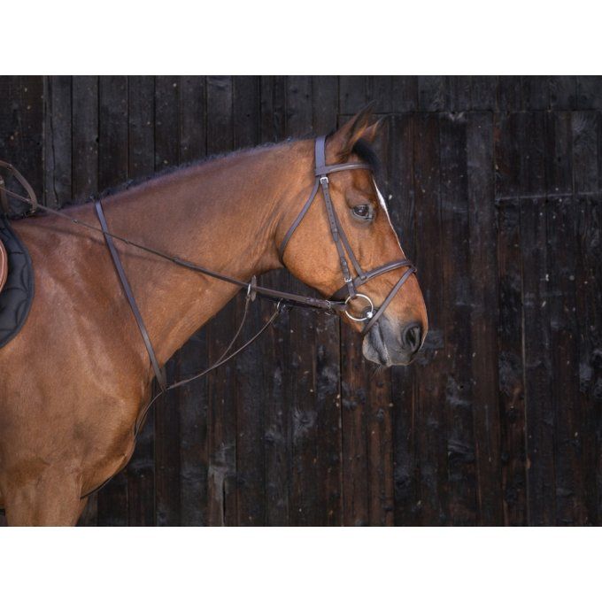 Martingale à anneaux Riding World