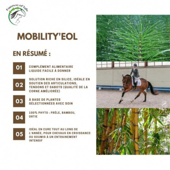 Mobility'eol