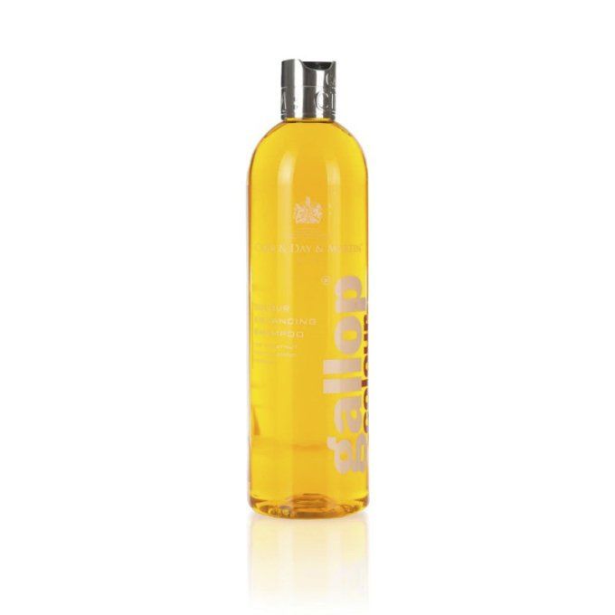 Shampoing Gallop CARR & DAY & MARTIN Noisette et palomino 