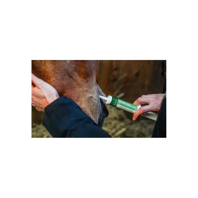 Nutri'Cool Flash Ravene