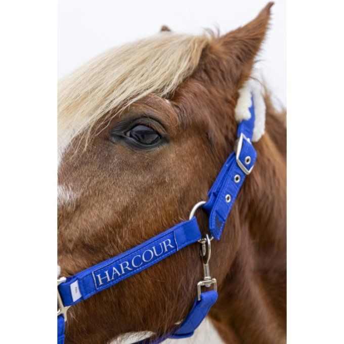 Licol et longe Teschic - Harcour - Edition limitée