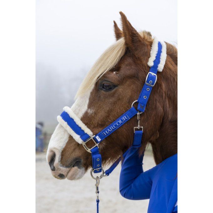 Licol et longe Teschic - Harcour - Edition limitée