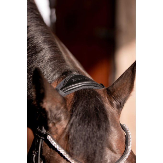 Protection de têtière K by EQUITHÈME