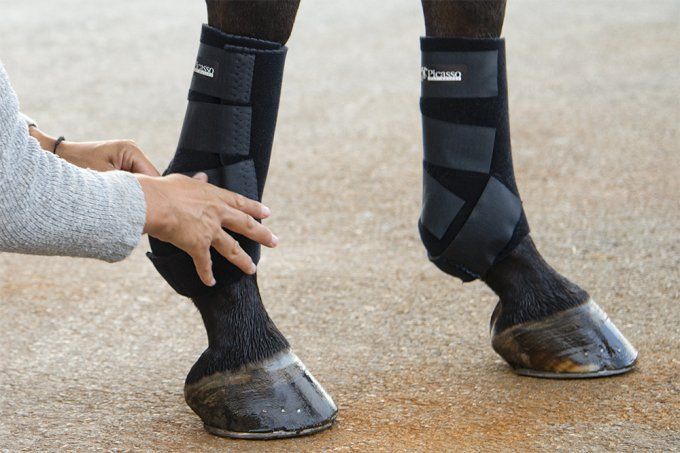 Guêtre de travail AMSSAH - Picasso