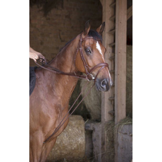 Rênes allemandes Norton Pro cuir/corde