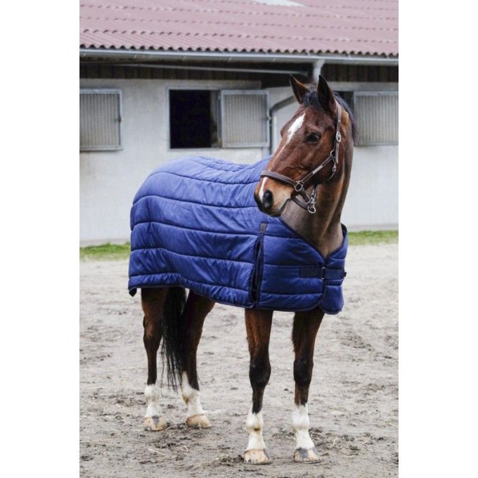 SOUS-COUVERTURE EQUITHÈME CLASSIC 100gr 