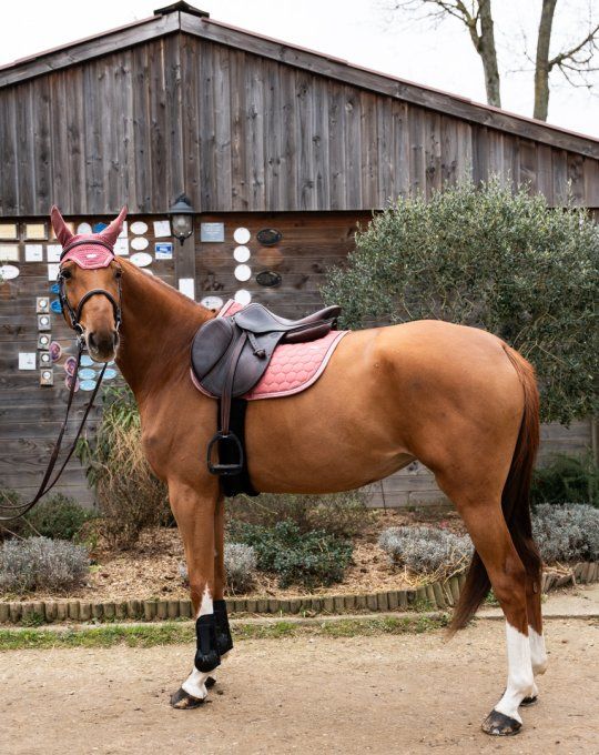 Tapis de Selle Atlas Obstacle GEM – Paillettes & Strass