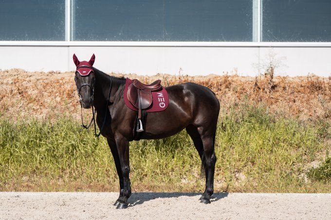 Tapis de selle TEN GEM Bordeaux porté sur un cheval